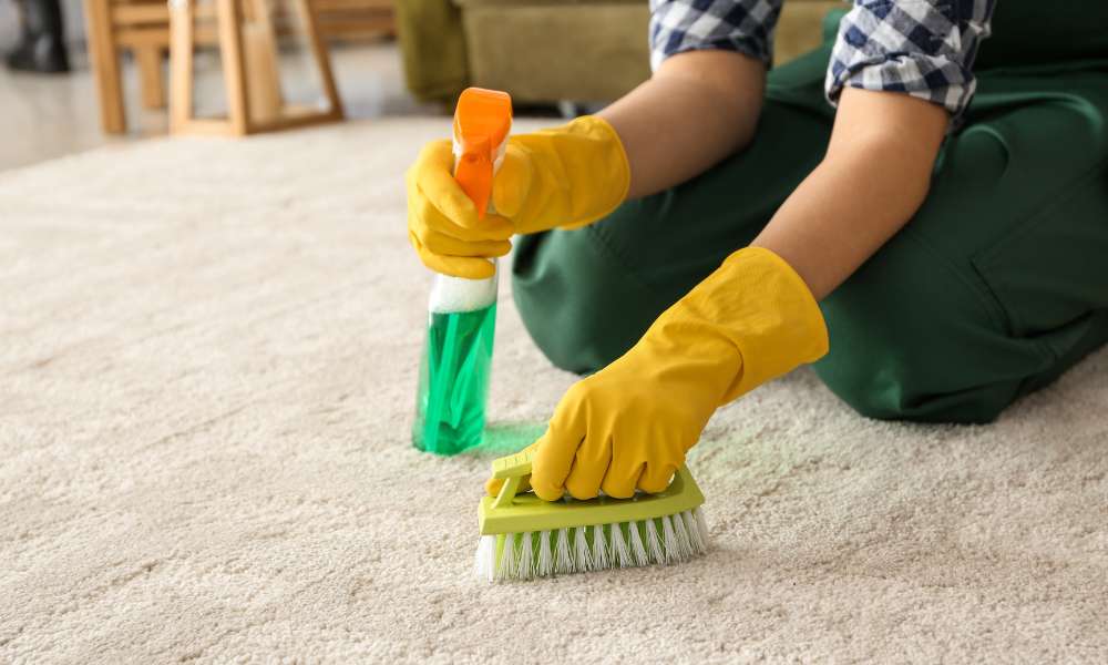 How To Clean A Carpet Without A Vacuum